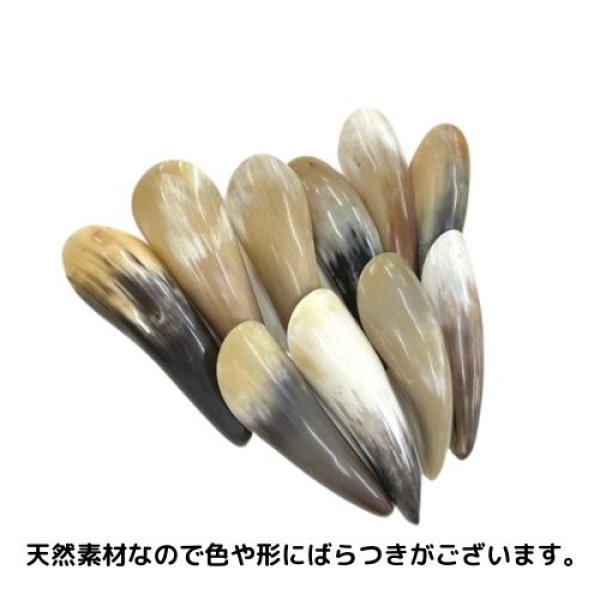 画像2: アマルテイアの角 (2)