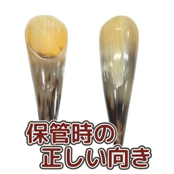 画像3: アマルテイアの角 (3)