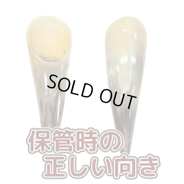 画像3: アマルテイアの角 (3)