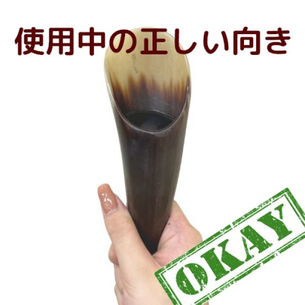 画像4: アマルテイアの角 (4)