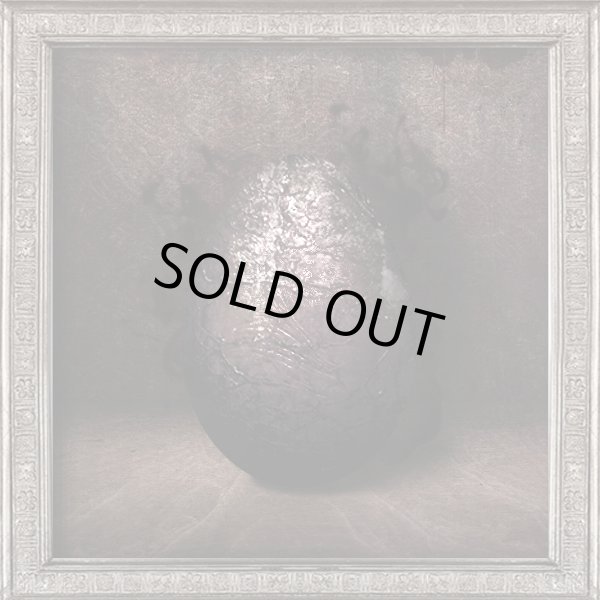 画像1: 孵らずの卵（かえらずのたまご） (1)