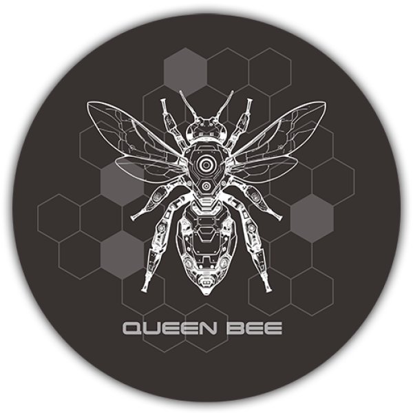 画像2: MARIA QB Ver.  (2)