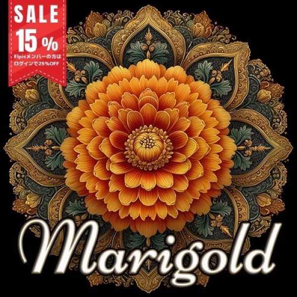 画像1: Marigold（マリーゴールド） (1)