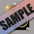 画像2: タミアスの護符（Seal of Tamias） (2)